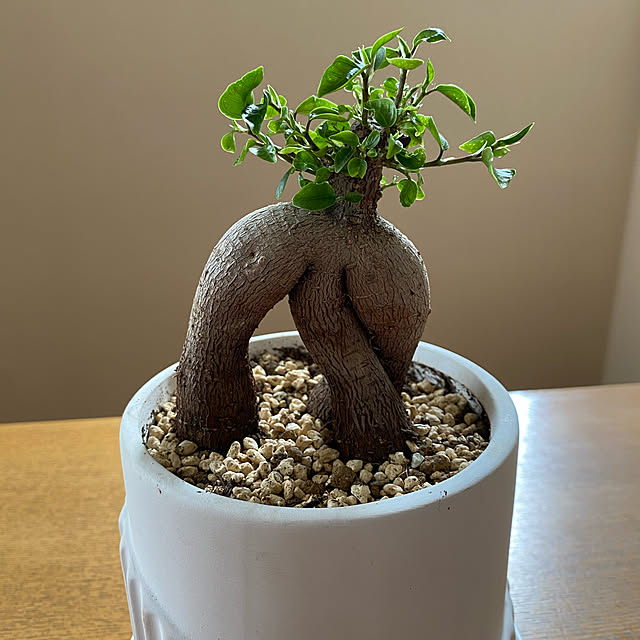 yukoさんの実例写真