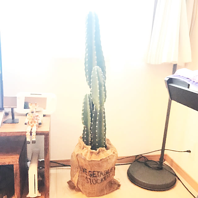 ayat518さんの実例写真