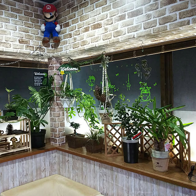 実例写真