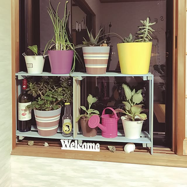 壁/天井/DIY/ダイソー/観葉植物のインテリア実例 - 2017-05-13 02:36:13