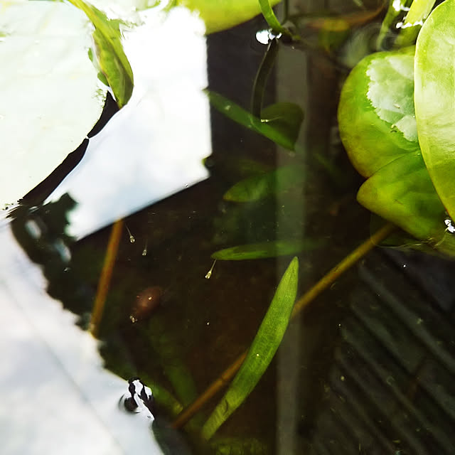 MMYSさんの実例写真