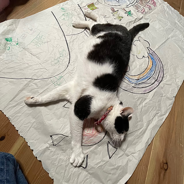 nekosamaさんの実例写真