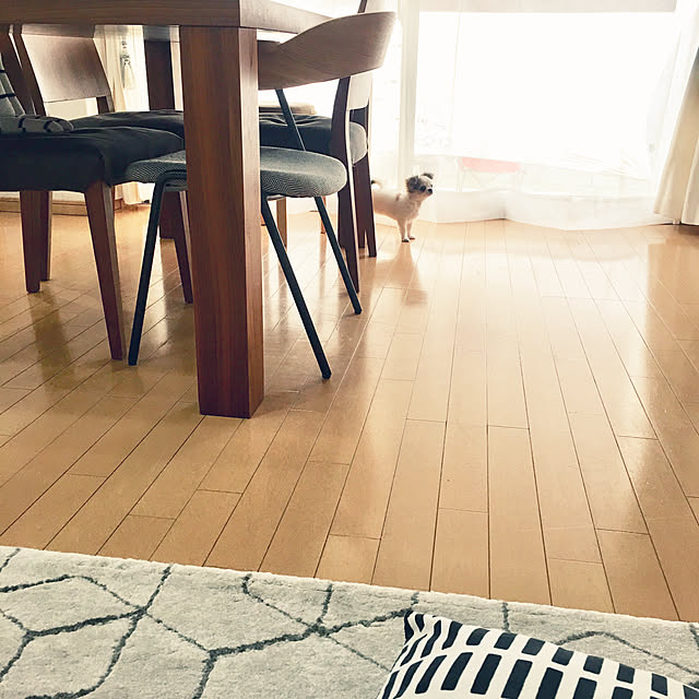 haritakaさんの実例写真