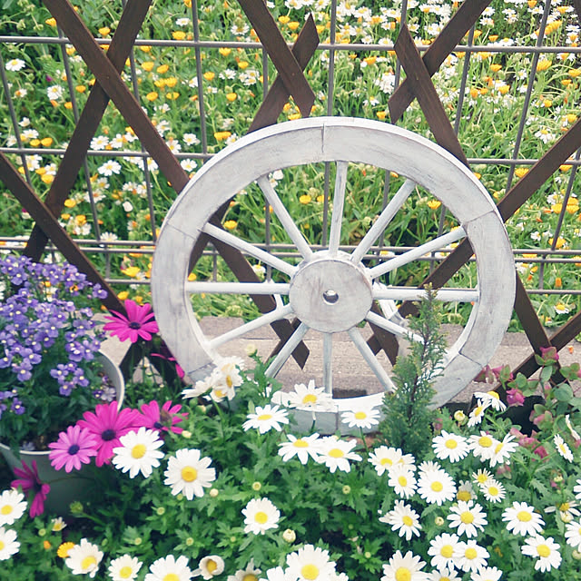 yellowflowerさんの実例写真