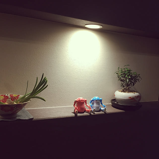 koroさんの実例写真