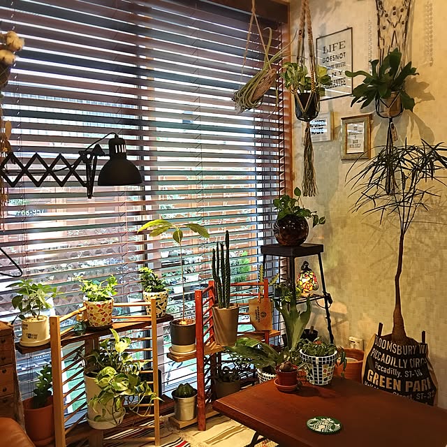 ANNAさんの実例写真