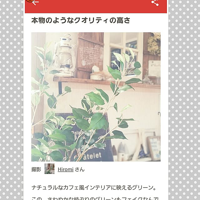 Hiromi.さんの実例写真
