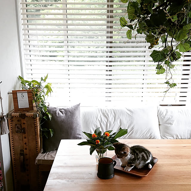maison.de.brocanteさんの実例写真