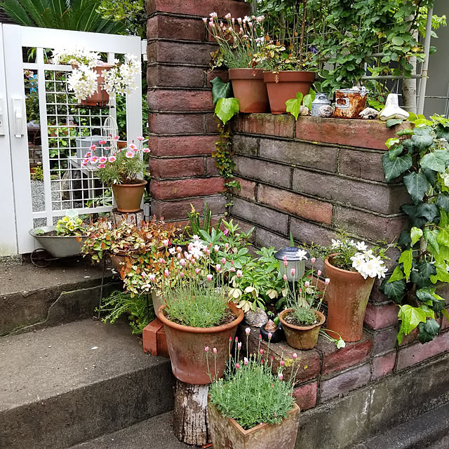 midoriさんの実例写真
