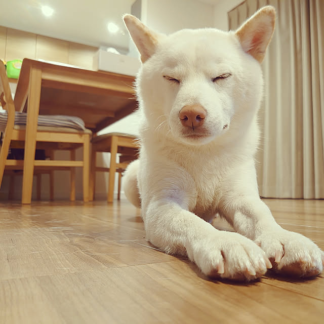 marico0930さんの実例写真