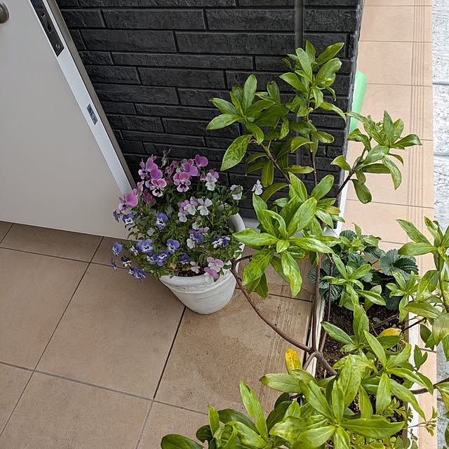 minnieさんの部屋