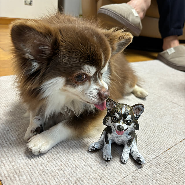 chIoeさんの部屋