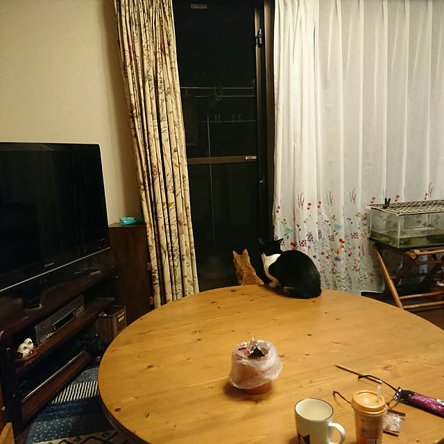 okyosan101さんの実例写真