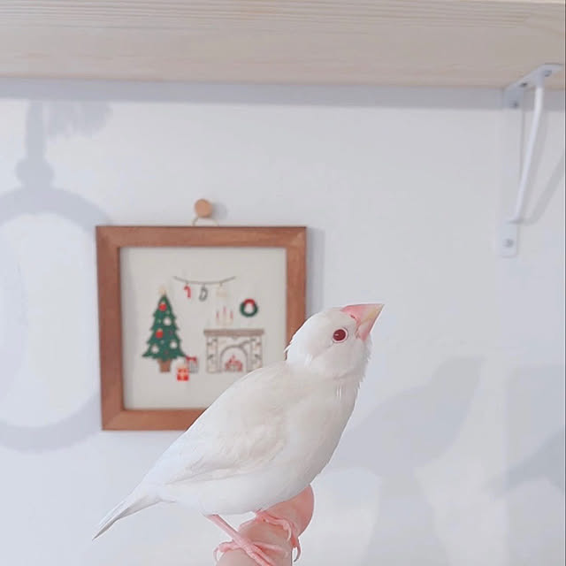 iyashiatさんの実例写真