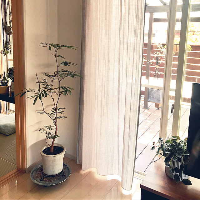 cocoaさんの実例写真
