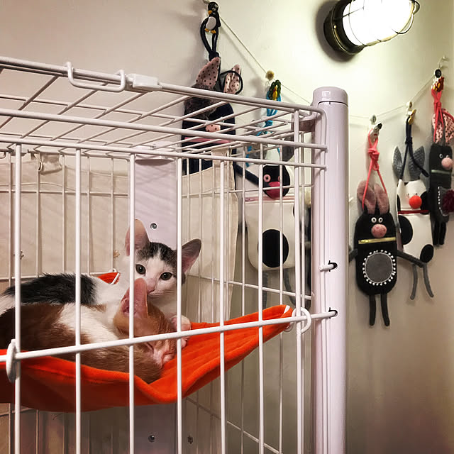meさんの実例写真