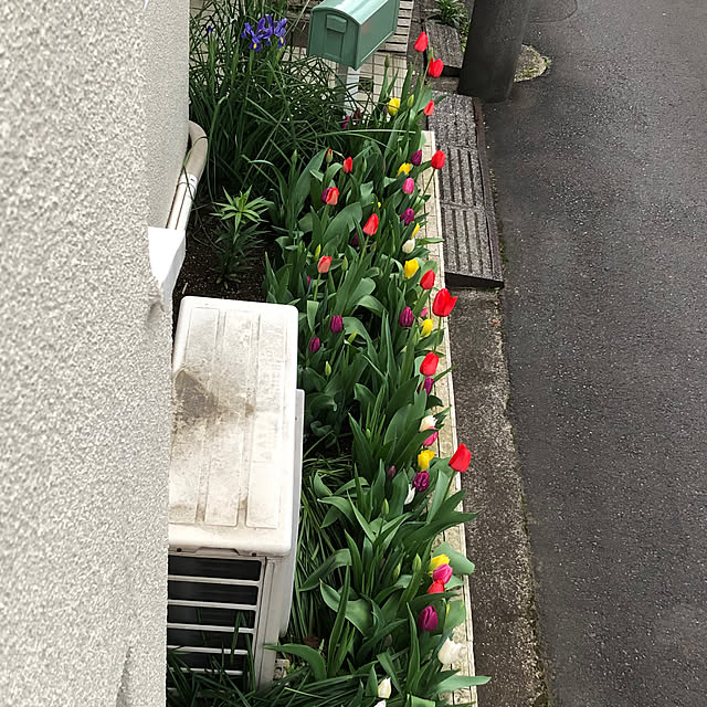 shakuyakuさんの部屋