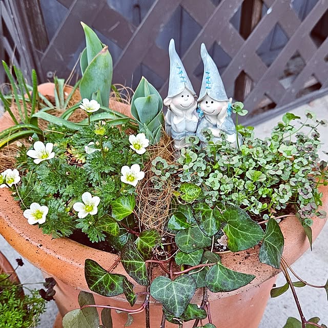 mocomocoさんの部屋