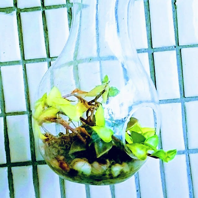 玄関/入り口のインテリア実例 - 2020-11-19 11:58:29