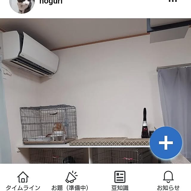 noguriさんの部屋
