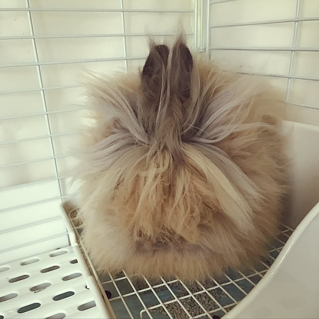 mさんの実例写真