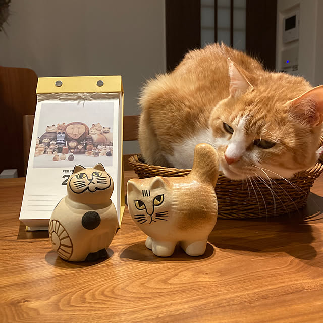 mkmkmoominさんの実例写真