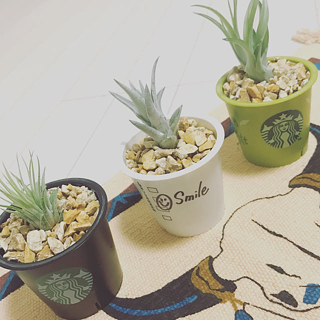 棚/100均/ハンドメイド/DIY/観葉植物...などのインテリア実例 - 2017-08-18 12:58:36