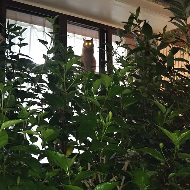 gabさんの実例写真