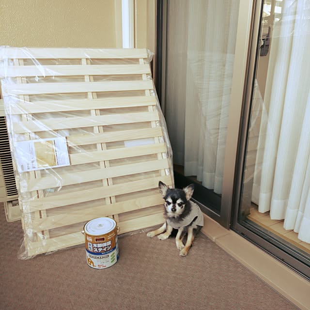 lovepeaceさんの実例写真