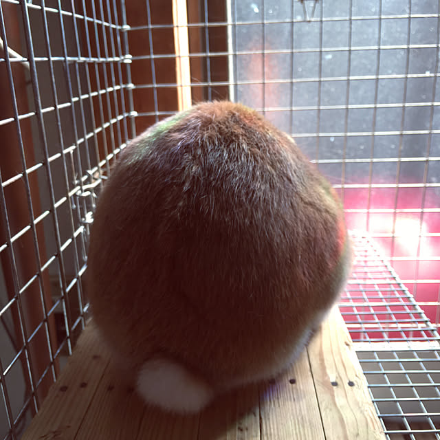 mimichankさんの実例写真