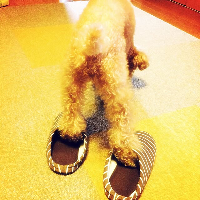 yuimaruさんの実例写真