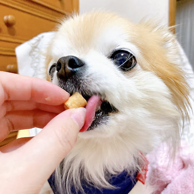 honiさんの実例写真
