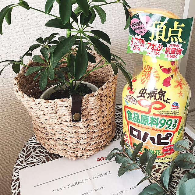 so.yuさんの実例写真