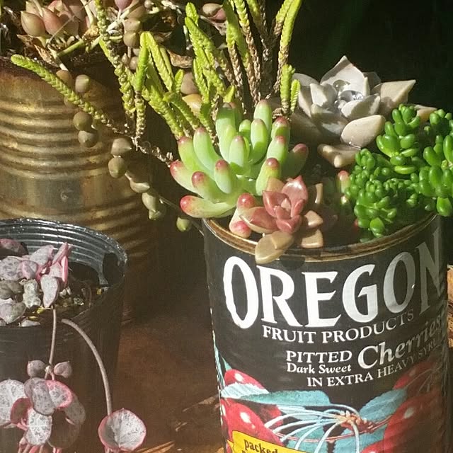 44039ponさんの実例写真