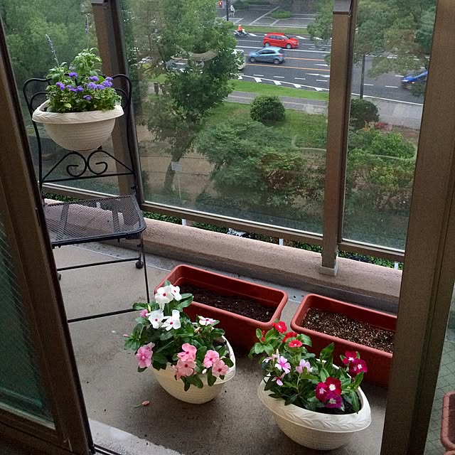 部屋全体/観葉植物/一人暮らし/緑のインテリア実例 - 2015-07-13 19:24:50
