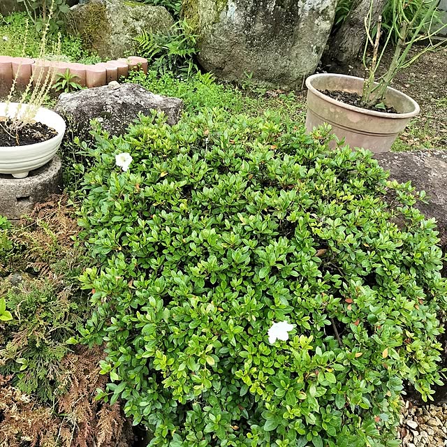 sumimarumiさんの部屋