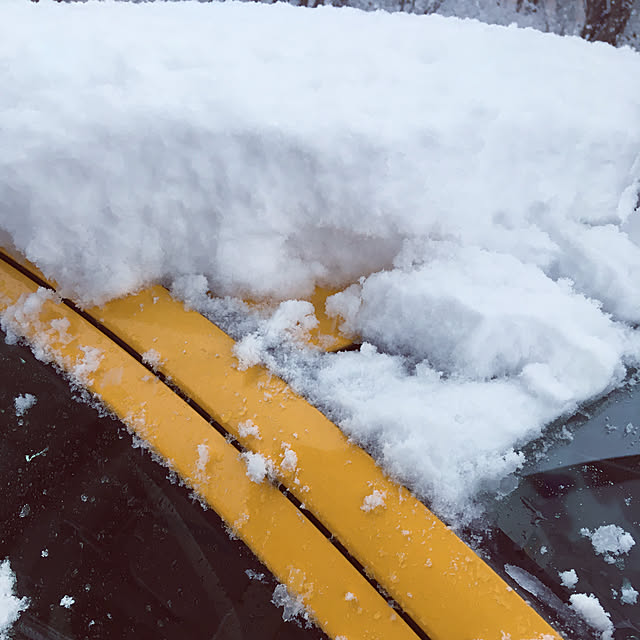 Pasadenaさんの実例写真