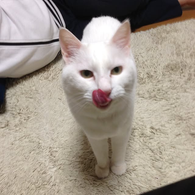 Kinanさんの実例写真