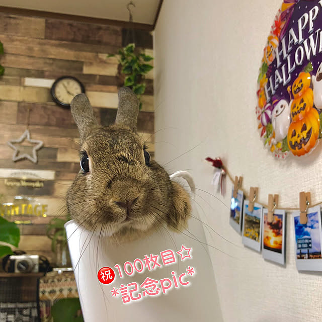 muuさんの実例写真