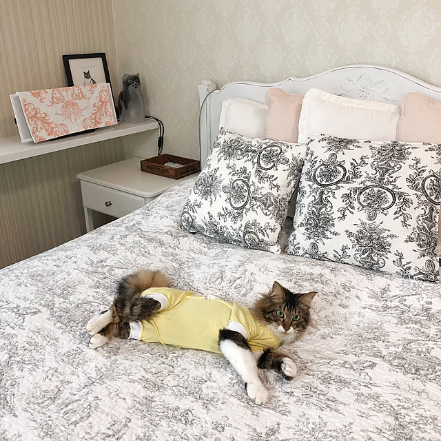 yuchiさんの実例写真
