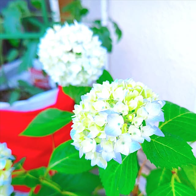 mariaさんの部屋