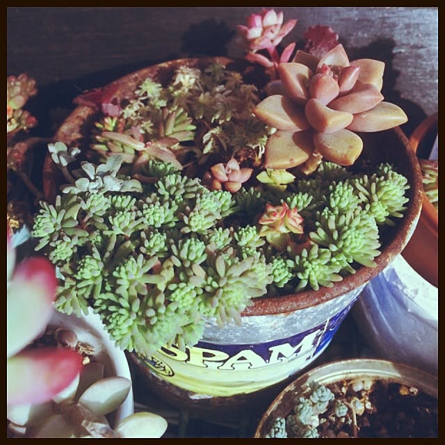 emimero08さんの実例写真