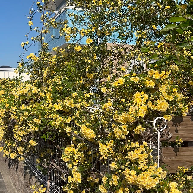 meさんの実例写真