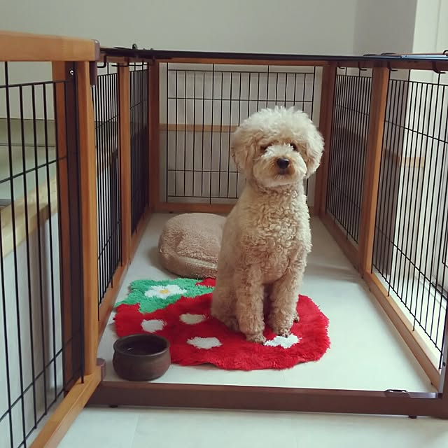 tentenさんの実例写真