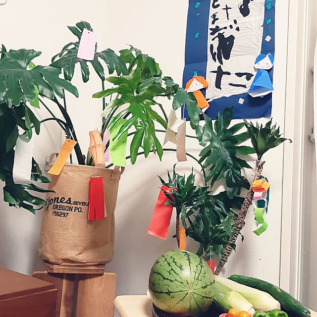 asagoromoさんの実例写真