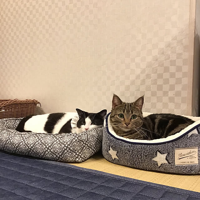 neuruさんの実例写真