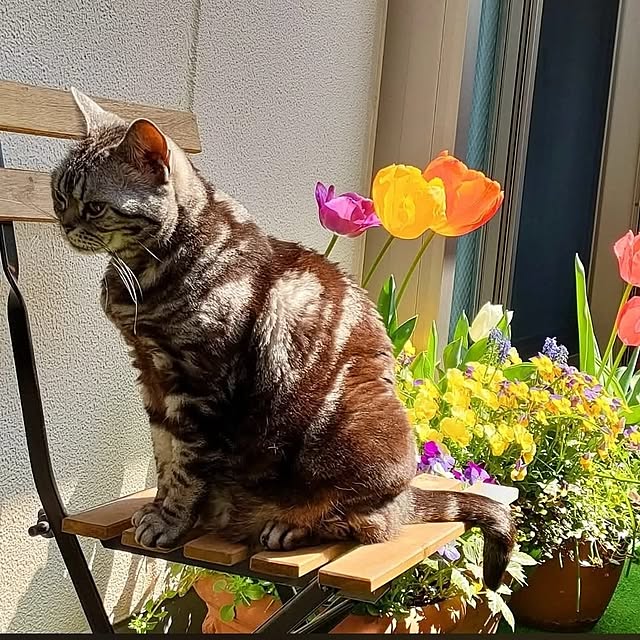 Yoko622さんの部屋