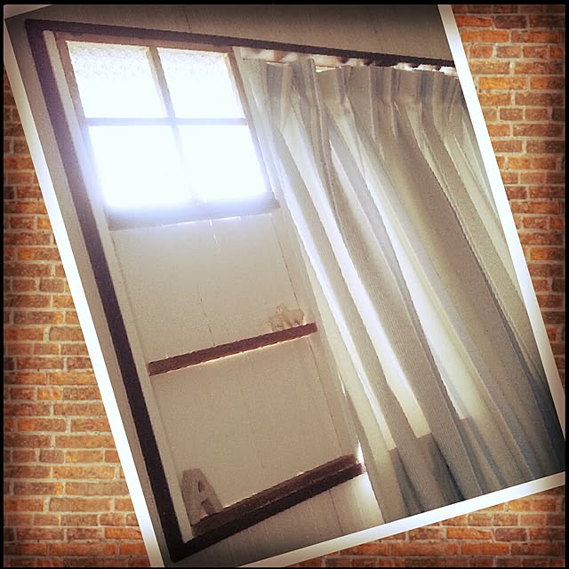 dolphin24さんの実例写真