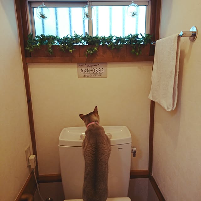 kumikkeyさんの実例写真