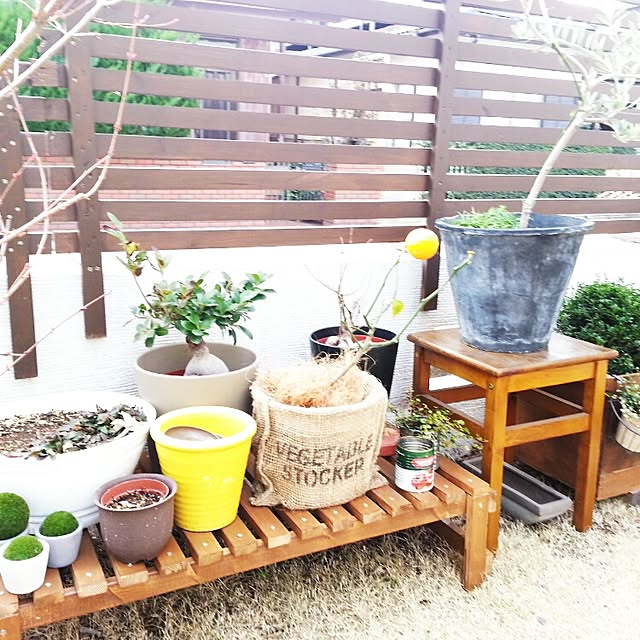 manabuさんの実例写真